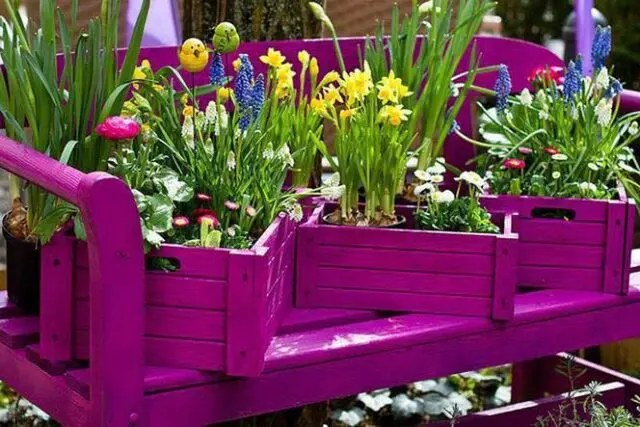Fioriere con cassette della frutta - Un modo creativo per decorare il tuo giardino - Cosa posso fare con le cassette della frutta fioriere con cassette della frutta - Cosa posso fare con le cassette della frutta