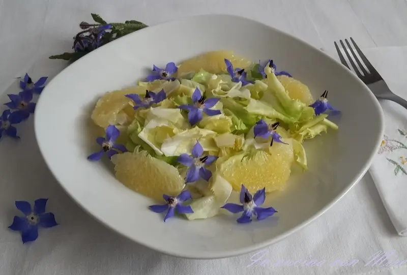 Fiori di borragine: ricette e utilizzi in cucina - Cosa si può fare con i fiori di borragine fiori di borragine ricette - Cosa si può fare con i fiori di borragine