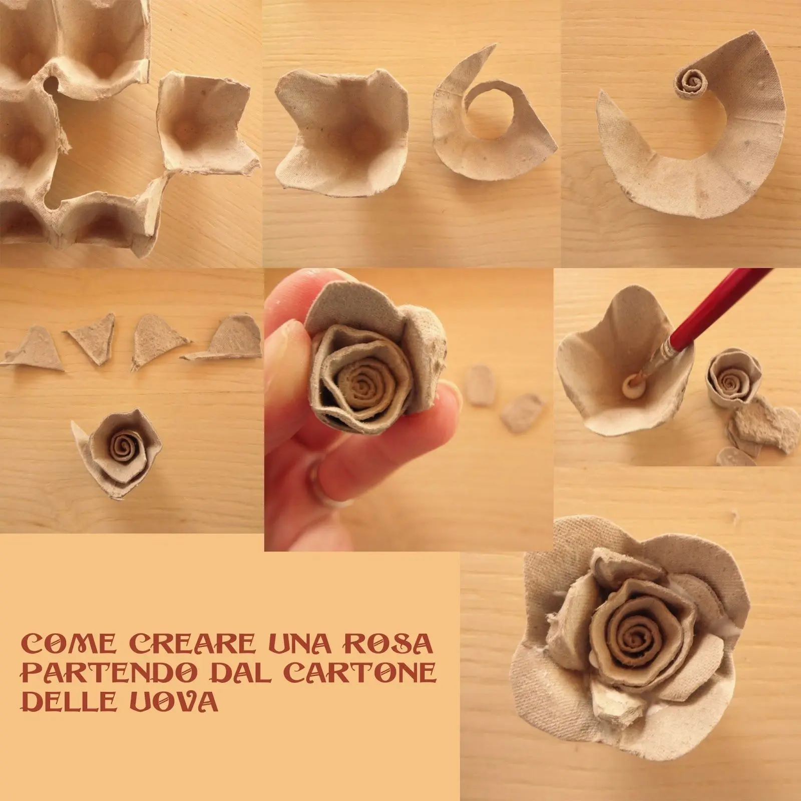 fiori con cartone uova - Cosa si può fare con il cartone delle uova