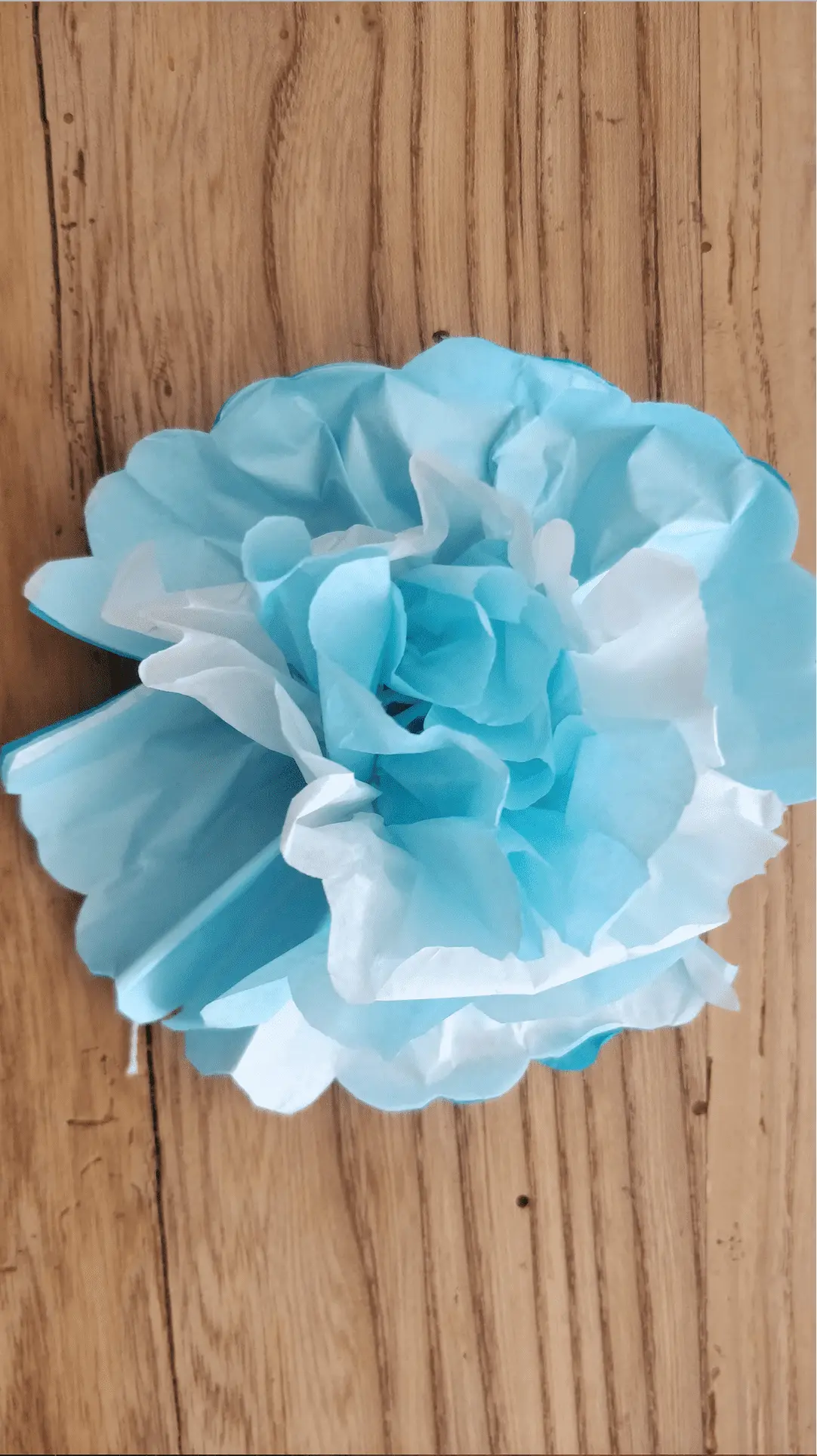 Fiore di carta velina: un tocco di colore per ogni occasione - Cosa si può fare con la carta velina fiore di carta velina - Cosa si può fare con la carta velina