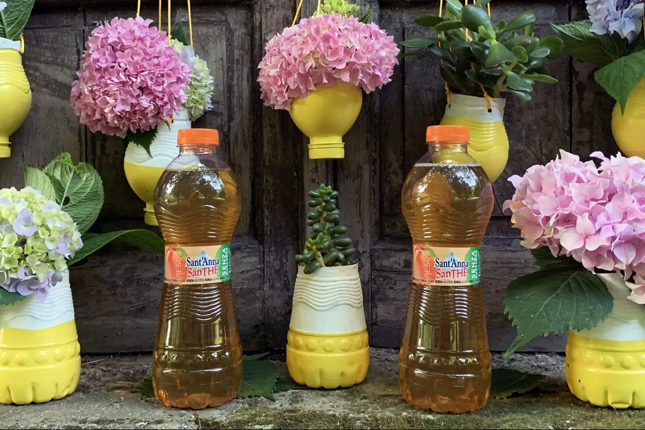 Fioriere con bottiglie di plastica: soluzioni creative per il tuo giardino - Cosa si può fare con le bottiglie di plastica fioriere con bottiglie di plastica - Cosa si può fare con le bottiglie di plastica