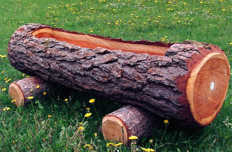 Fioriere con tronchi di legno: un tocco naturale per il tuo giardino - Cosa si può fare con un tronco di legno fioriere con tronchi di legno - Cosa si può fare con un tronco di legno