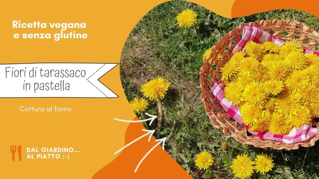 Fiori di Tarassaco in Pastella: Una Delizia Floreale - Cosa si può mangiare del tarassaco fiori di tarassaco in pastella - Cosa si può mangiare del tarassaco