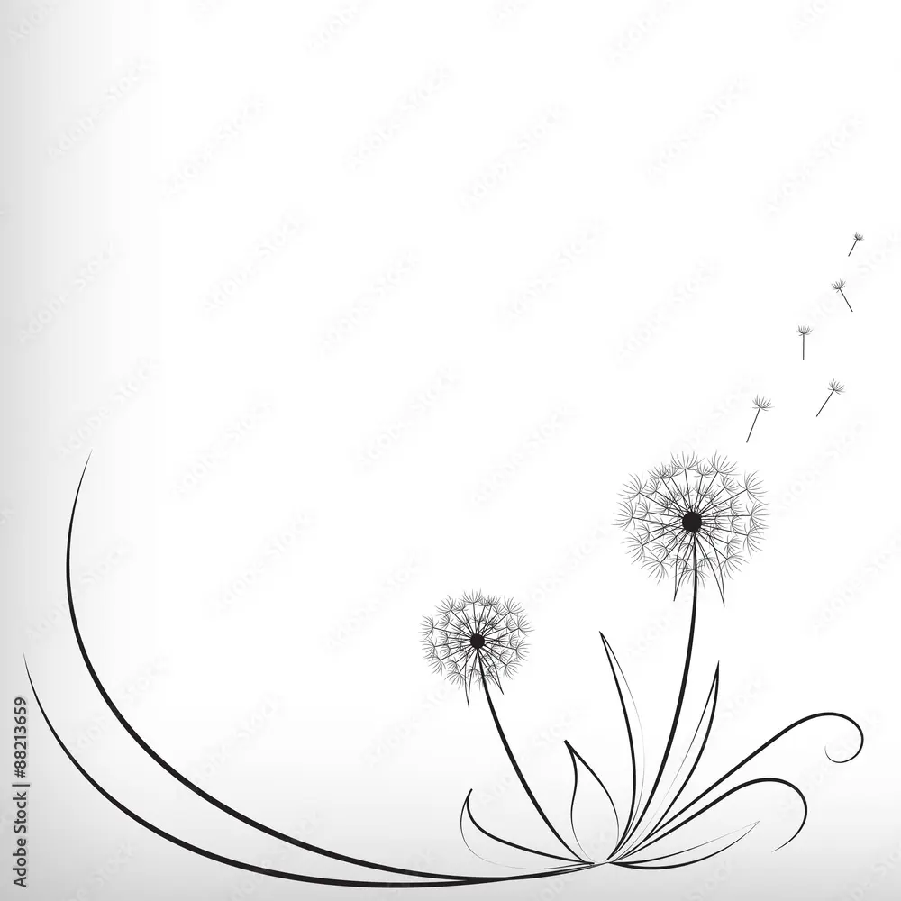 soffione fiore disegno - Cosa simboleggia il fiore soffione