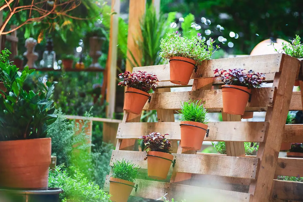 Fioriere fai da te riciclo: come dare nuova vita ai rifiuti creando vasi originali per i fiori - Cosa usare al posto di un vaso fioriere fai da te riciclo - Cosa usare al posto di un vaso
