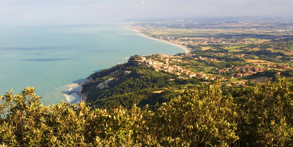 fiori del conero - Cosa vedere nella zona del Conero