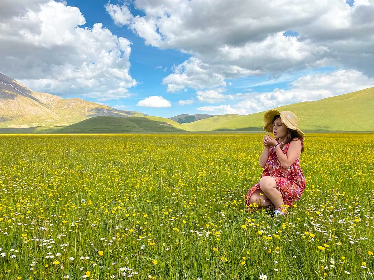 campi di lenticchie in fiore - Dove andare per vedere la fioritura delle lenticchie