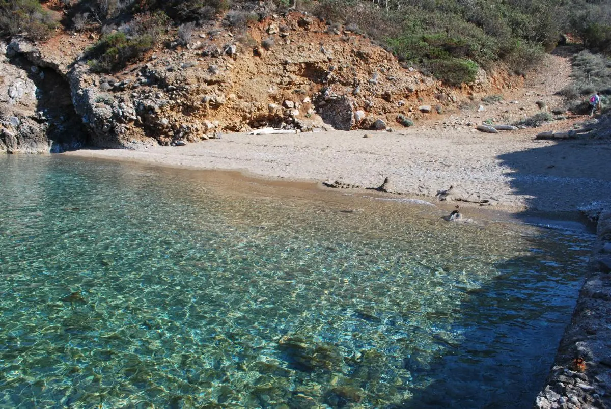 Cala dei Fiori: Un angolo di paradiso floreale sull'Isola del Giglio - Dove fare il bagno all'Isola del Giglio cala dei fiori - Dove fare il bagno all'Isola del Giglio