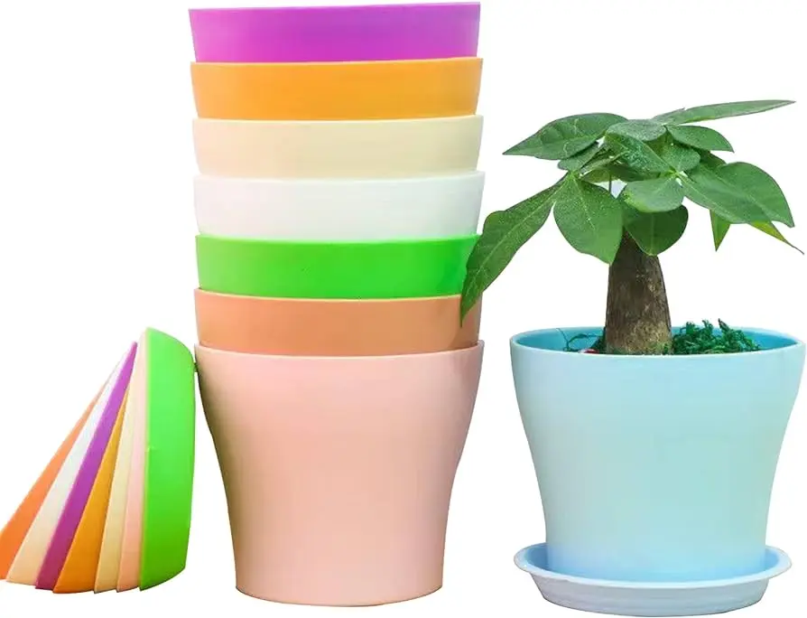 Vasi di plastica per fiori: un'opzione versatile ed economica - Dove si buttano i vasi di plastica per i fiori vasi di plastica per fiori - Dove si buttano i vasi di plastica per i fiori