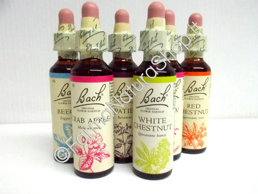 fiori di bach dove comprarli - Dove si possono comprare i fiori di Bach