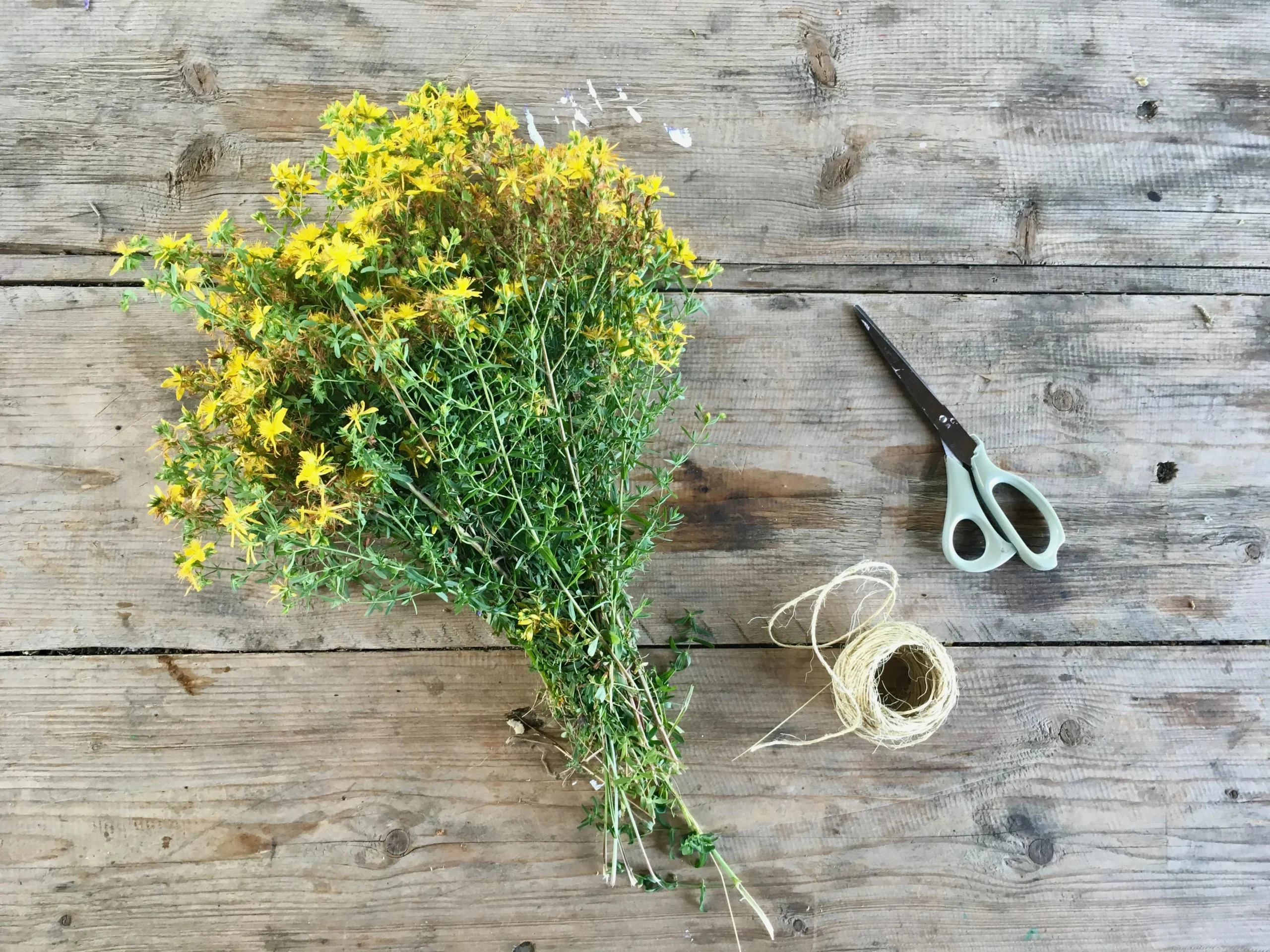 Fiori di Iperico: Un Rimedio Naturale per il Benessere - Dove si possono trovare i fiori di iperico fiori iperico - Dove si possono trovare i fiori di iperico