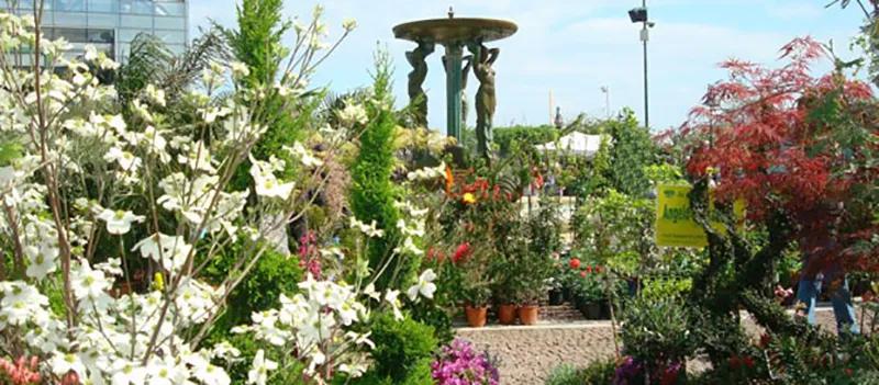 Festa dei Fiori: Un evento unico nel suo genere a Piancogno - Dove si svolge la festa dei fiori festa fiori - Dove si svolge la festa dei fiori