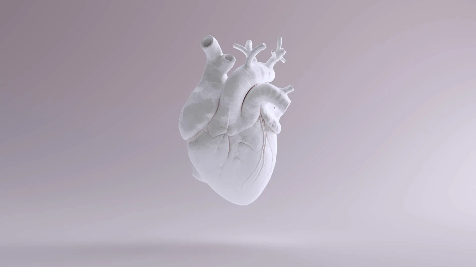 cuore anatomico con fiori - Dove si trova il cuore a destra oa sinistra