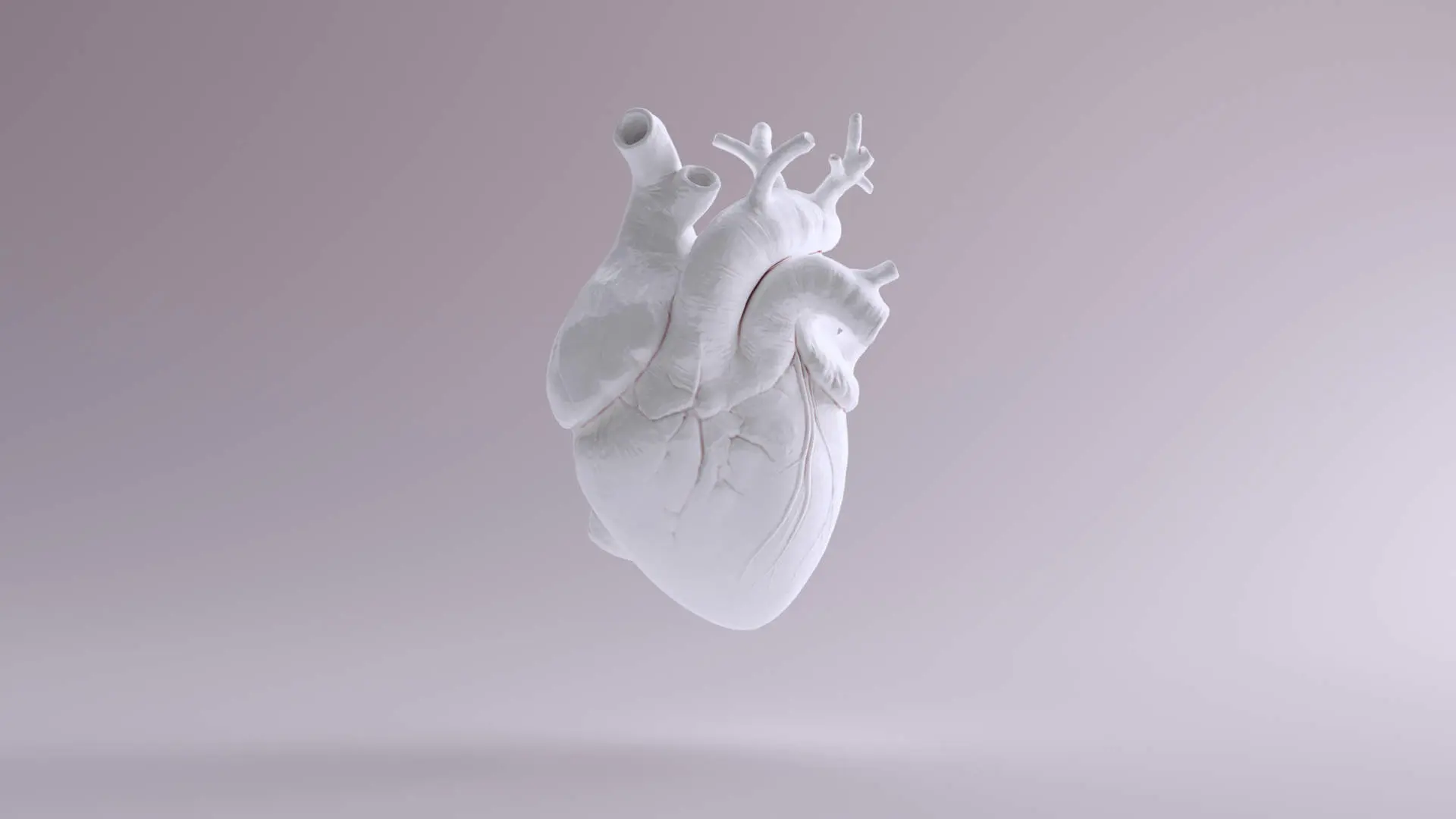 Cuore Anatomico con Fiori: Un Simbolo di Passione e Vita - Dove si trova il cuore a destra oa sinistra cuore anatomico con fiori - Dove si trova il cuore a destra oa sinistra