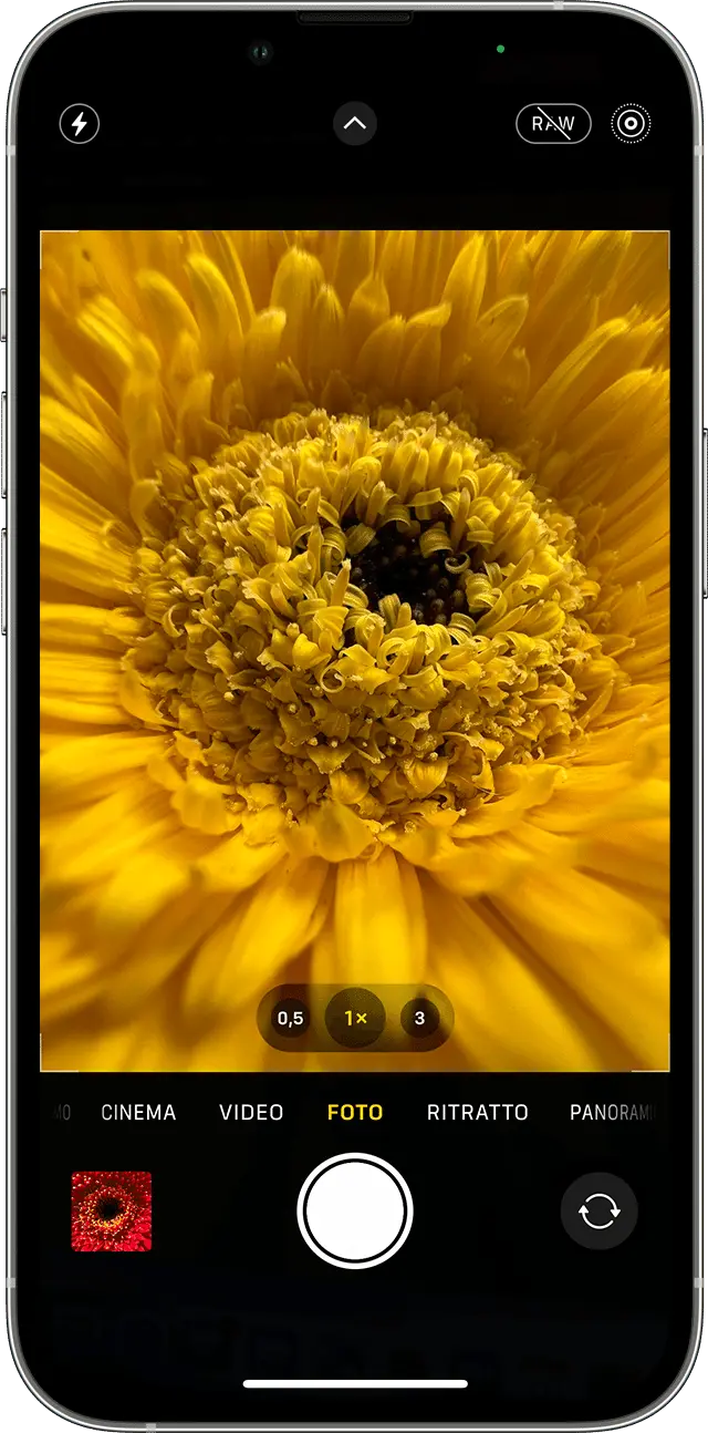 fiore fotocamera iphone - Dove si trova il filtro bellezza su iPhone
