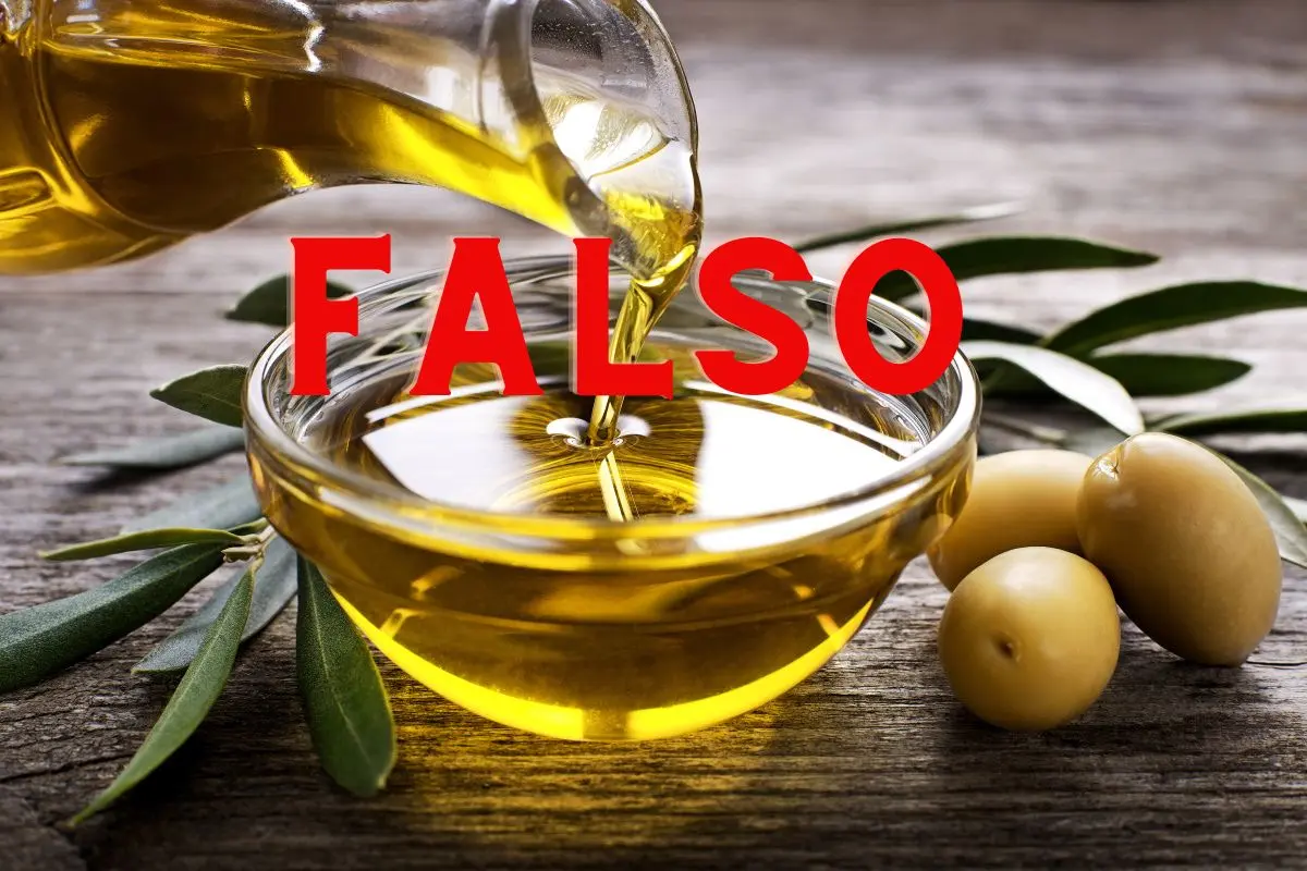 Olio Fior Fiore Coop Truffa: Un'analisi approfondita dell'argomento - Dove si trova il miglior olio italiano olio fior fiore coop truffa - Dove si trova il miglior olio italiano