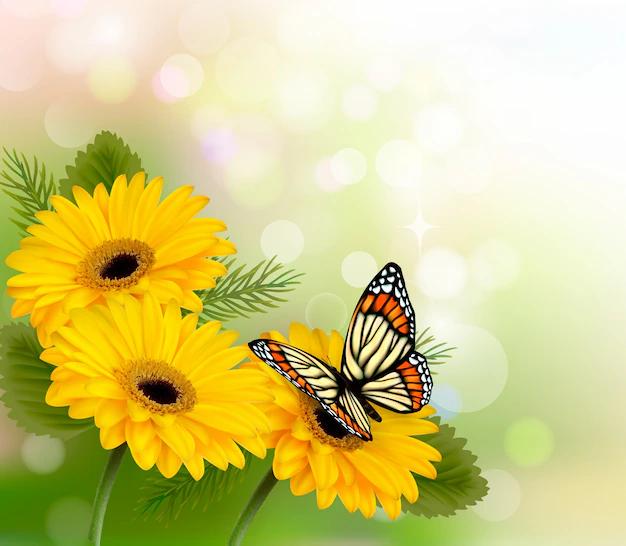 farfalla e fiori - Perché le farfalle si posano sui fiori
