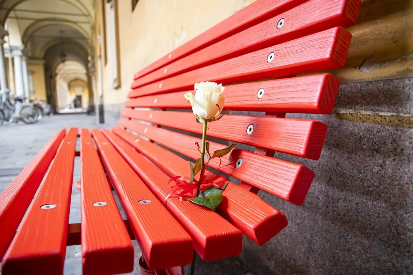 fiore simbolo contro la violenza sulle donne - Qual è il colore della violenza
