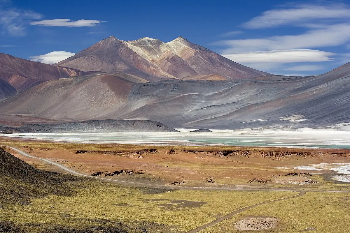 Deserto Fiorito: un fenomeno unico nel deserto di Atacama - Qual è il deserto più arido del mondo deserto fiorito - Qual è il deserto più arido del mondo