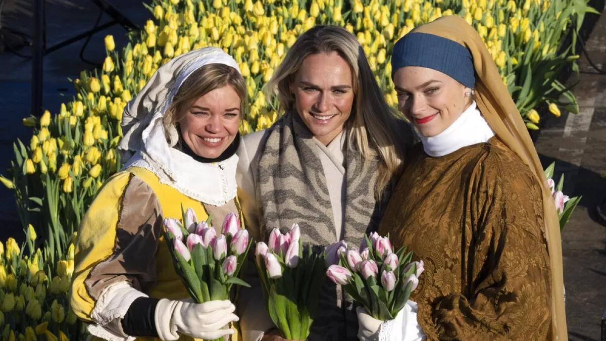 fiori olandesi - Qual è il fiore simbolo Dell'Olanda