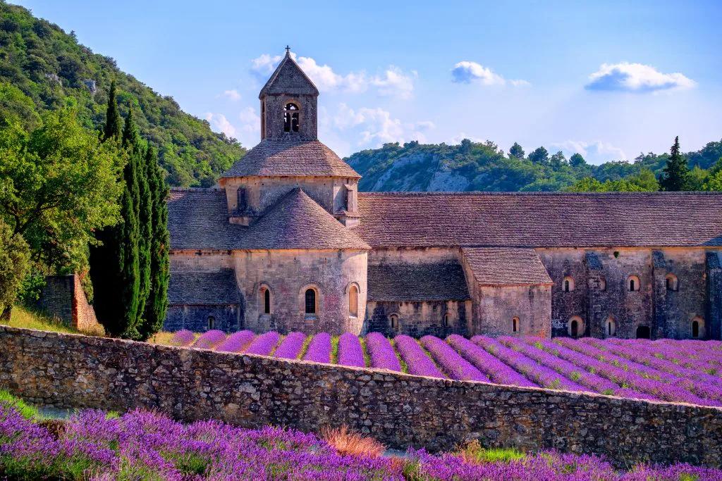 Fiori Provenzali: Un Paradiso di Colori e Profumi nella Provenza - Qual è il periodo migliore per andare in Provenza fiori provenzali - Qual è il periodo migliore per andare in Provenza