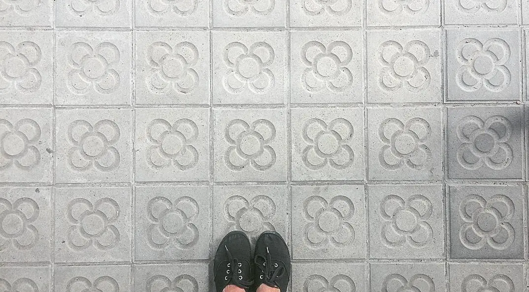 fiore barcellona - Qual è il simbolo di Barcellona