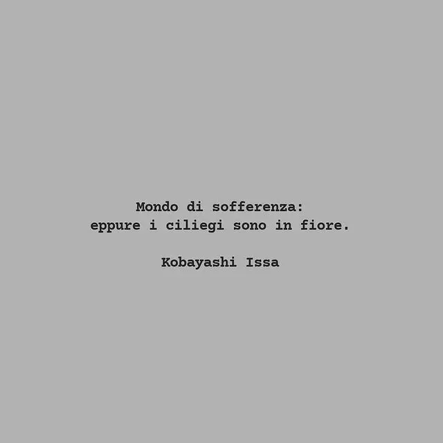 Mondo di sofferenza eppure i ciliegi sono in fiore - Qual'è l'argomento del secondo haiku mondo di sofferenza eppure i ciliegi sono in fiore - Qual'è l'argomento del secondo haiku