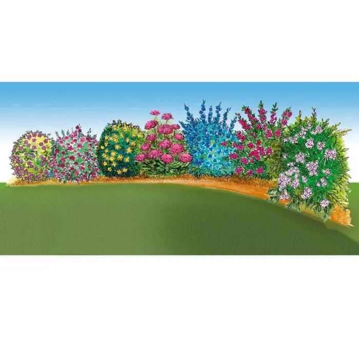 Siepe Fiorita Bassa: La scelta perfetta per un giardino colorato - Qual è la siepe che cresce più in fretta siepe fiorita bassa - Qual è la siepe che cresce più in fretta