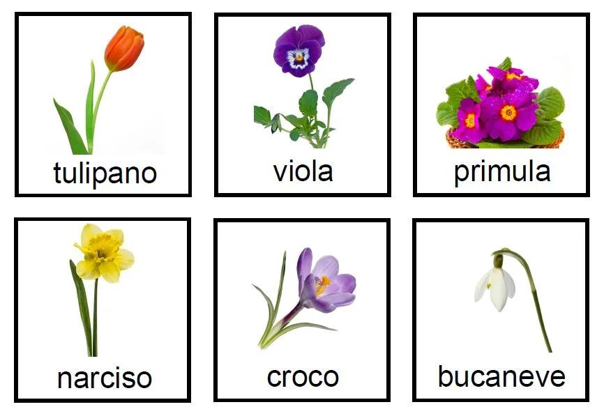 Fiore Nome: Il Significato del Miele - Quale nome significa miele fiore nome - Quale nome significa miele