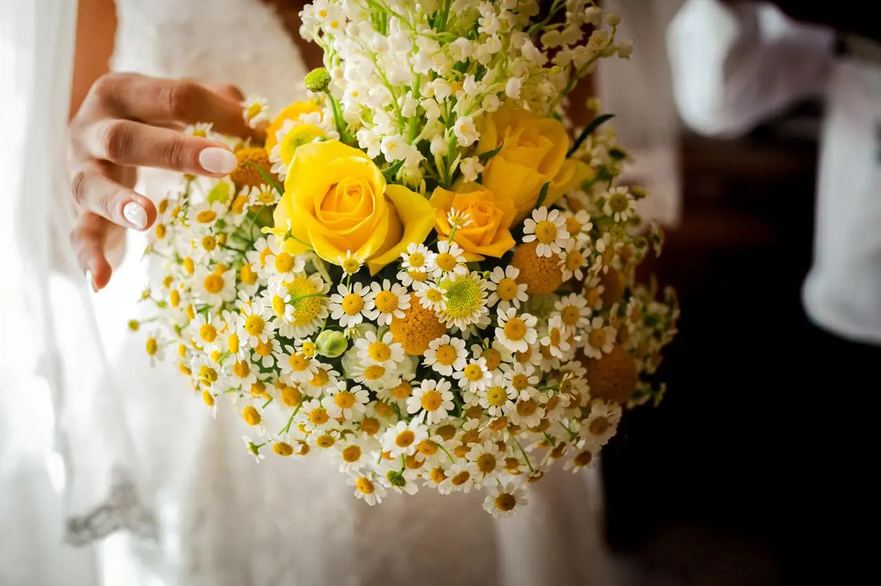 fiori di giugno matrimonio - Quali fiori per matrimonio a giugno
