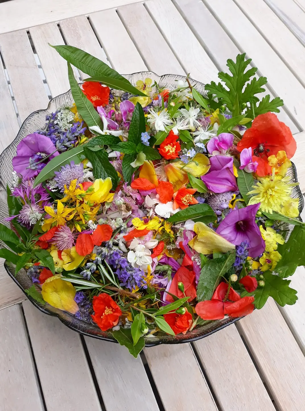 fiori per acqua di san giovanni - Quali fiori raccogliere per la notte di San Giovanni