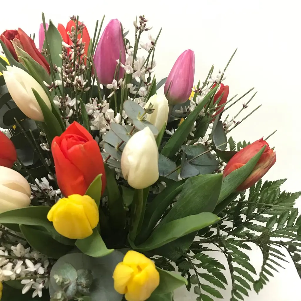 Quali fiori regalare ad una signora anziana - Quali fiori regalare ad una signora anziana fiori per compleanno signora 80 anni - Quali fiori regalare ad una signora anziana