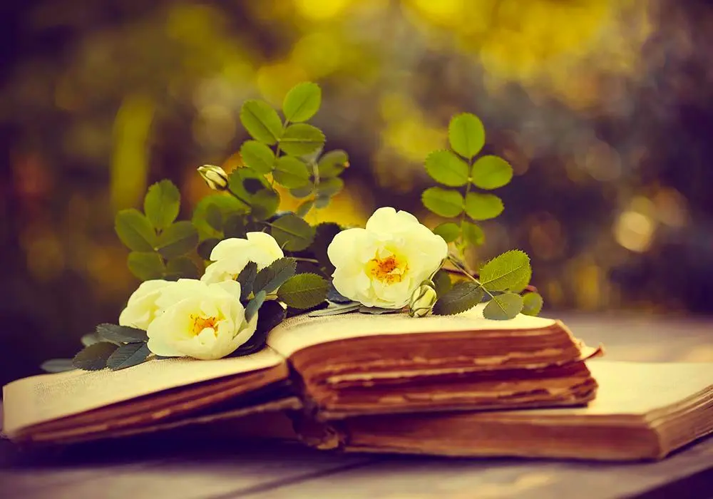 libri e fiori - Quali libri bisogna avere in casa