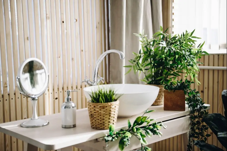 Idee Fiori in Bagno: Come Scegliere le Piante Giuste per il Tuo Bagno - Quali piante mettere in un bagno cieco idee fiori in bagno - Quali piante mettere in un bagno cieco