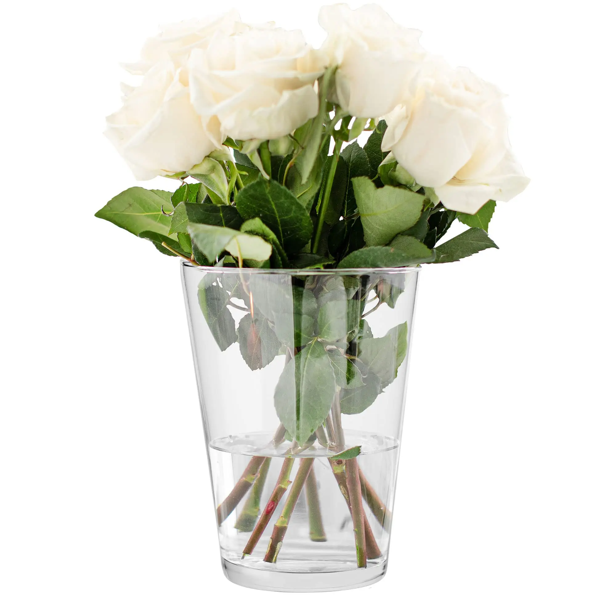 vasi per fiori vetro - Quali piante mettere in una boccia di vetro