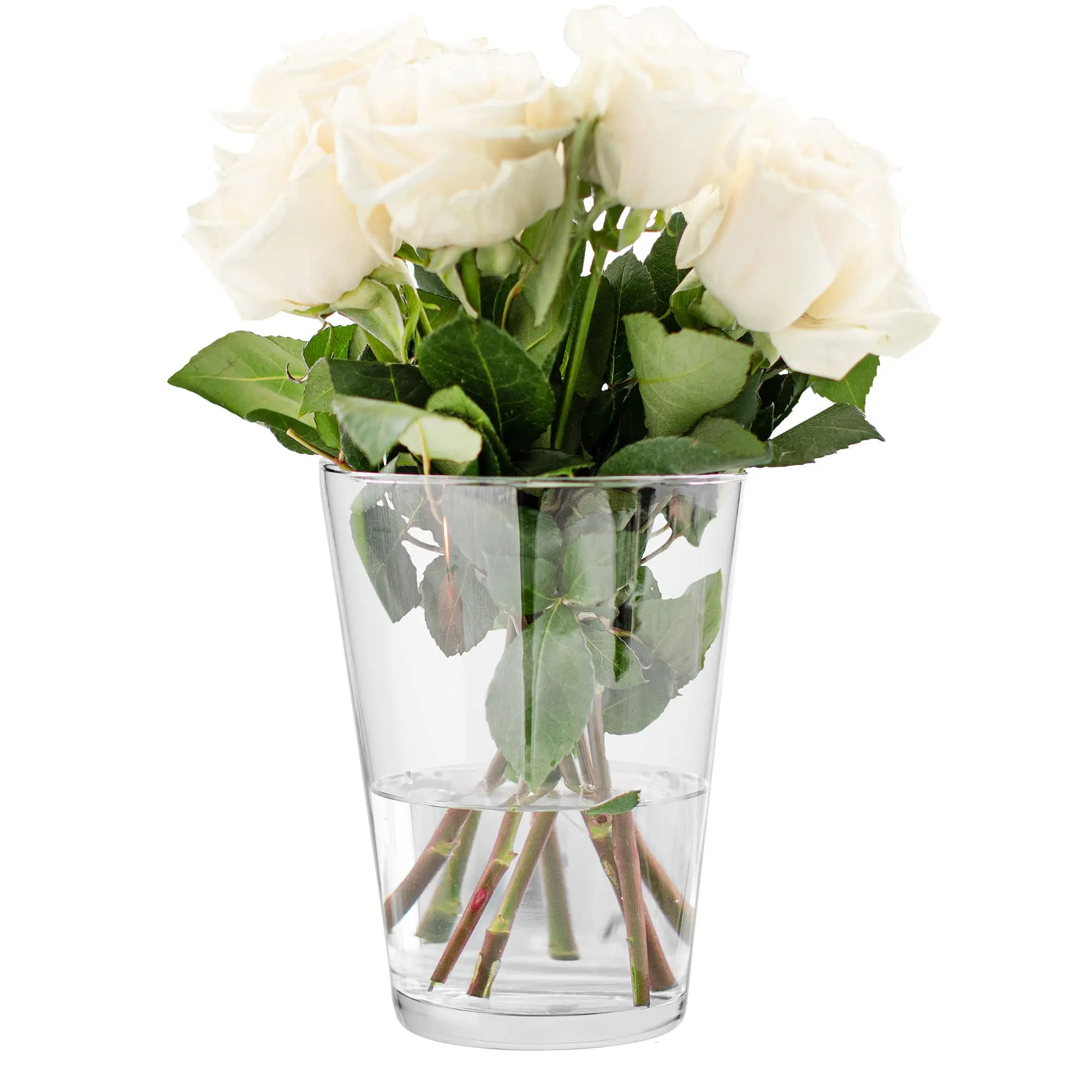 Vasi per fiori in vetro: un tocco di eleganza per la tua casa - Quali piante mettere in una boccia di vetro vasi per fiori vetro - Quali piante mettere in una boccia di vetro