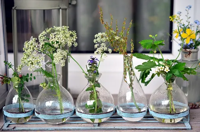 vasi per fiori vetro - Quali piante mettere in vaso di vetro