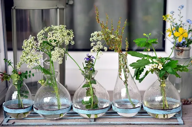 Vasi per fiori in vetro: un tocco di eleganza per la tua casa - Quali piante mettere in vaso di vetro vasi per fiori vetro - Quali piante mettere in vaso di vetro