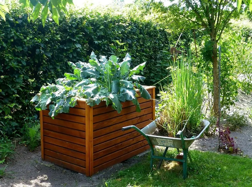 Fiori da piantare a luglio per un balcone colorato e profumato - Quali piante si possono piantare a luglio fiori da piantare a luglio - Quali piante si possono piantare a luglio