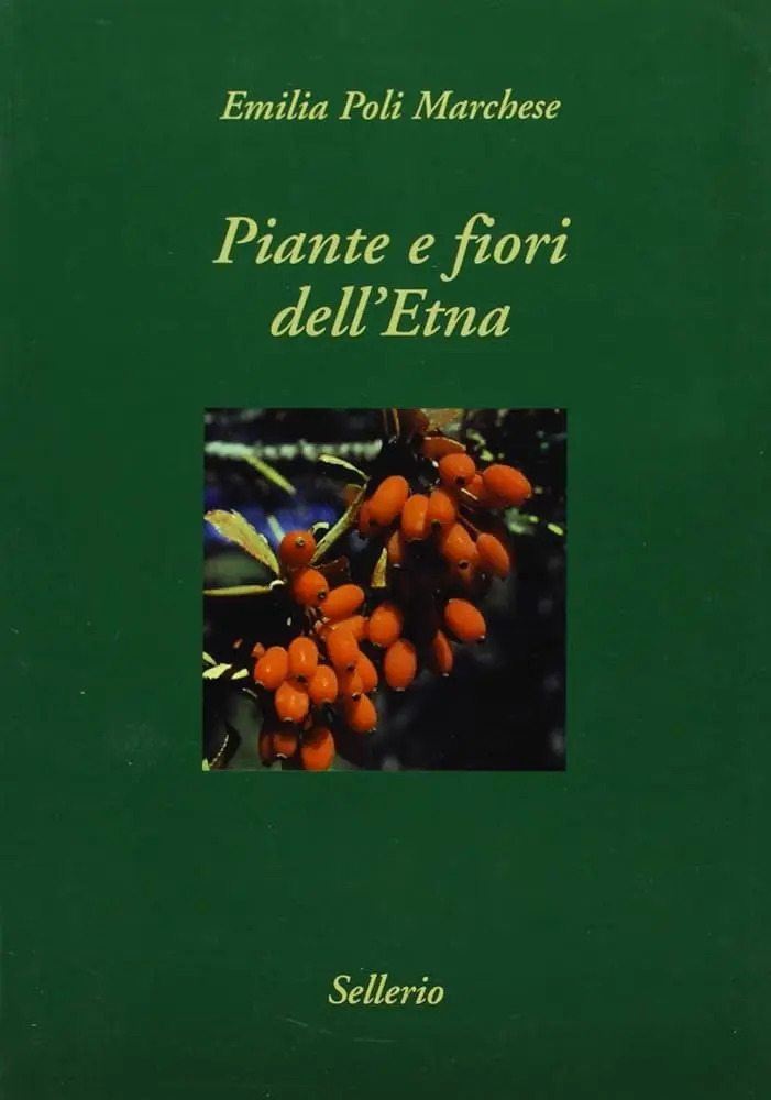 i fiori dell'etna - Quali sono gli agrumi siciliani
