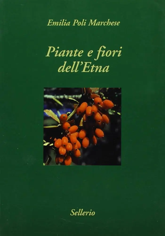 I fiori dell'Etna: una meraviglia della natura - Quali sono gli agrumi siciliani i fiori dell'etna - Quali sono gli agrumi siciliani