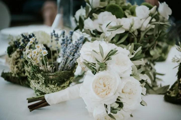 fiori che costano poco - Quali sono i fiori bianchi più economici