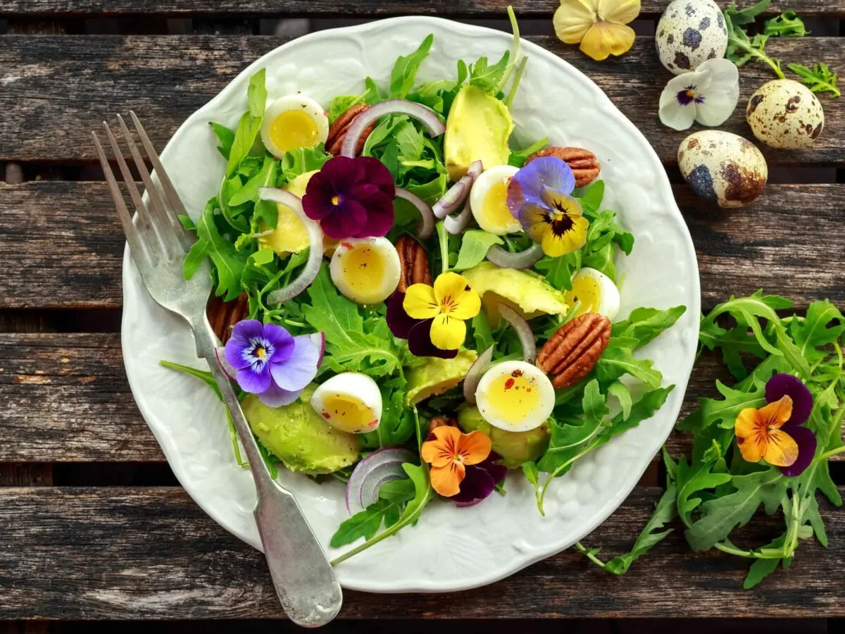 Fiori che si mangiano: un tocco di colore e sapore nella cucina - Quali sono i fiori che non si possono mangiare fiori che si mangiano - Quali sono i fiori che non si possono mangiare