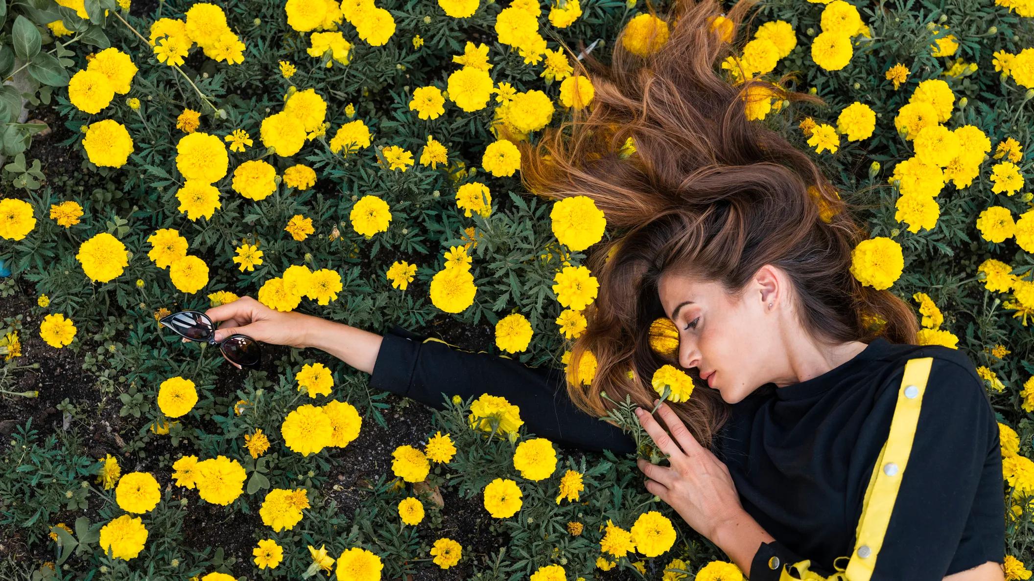 fiore di gennaio - Quali sono i fiori dei segni zodiacali