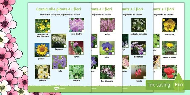 Nomi Fiori Primaverili: I Fiori di Aprile - Quali sono i fiori di aprile nomi fiori primaverili - Quali sono i fiori di aprile