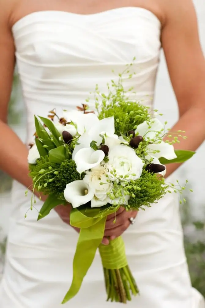 giusy fiori - Quali sono i fiori italiani