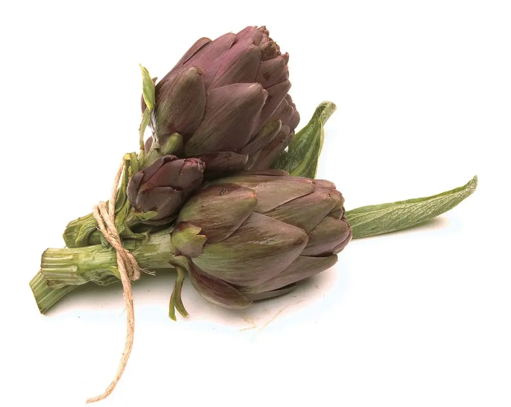 Ortaggi da fiore: una guida completa - Quali sono i nomi degli ortaggi ortaggi da fiore - Quali sono i nomi degli ortaggi