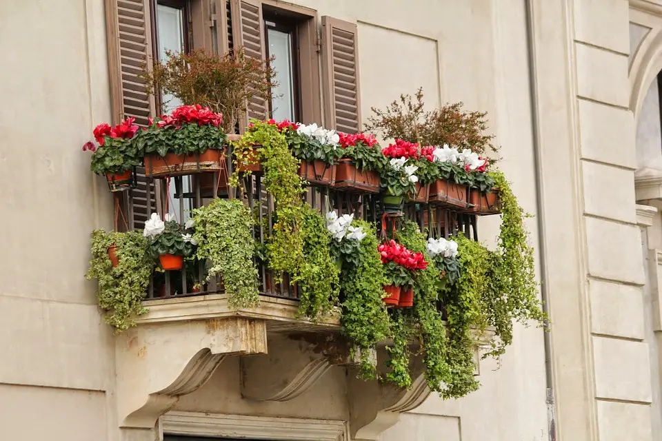 Terrazzi Fioriti: Come trasformare il tuo terrazzo in un'oasi di verde - Quali sono le migliori piante da terrazzo terrazzi fioriti - Quali sono le migliori piante da terrazzo