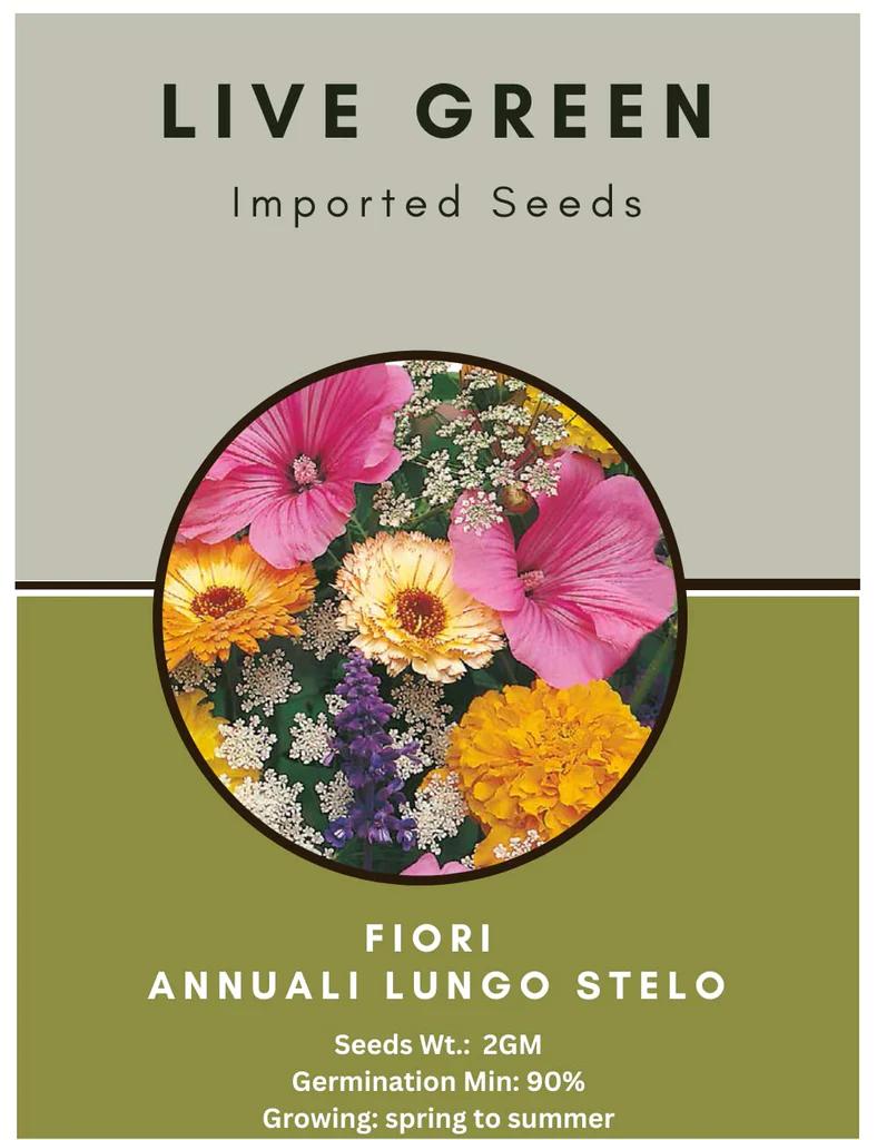 Fiori annuali: piante a crescita veloce e fioritura abbondante - Quali sono le piante che hanno un ciclo vitale rapido fiori annuali - Quali sono le piante che hanno un ciclo vitale rapido