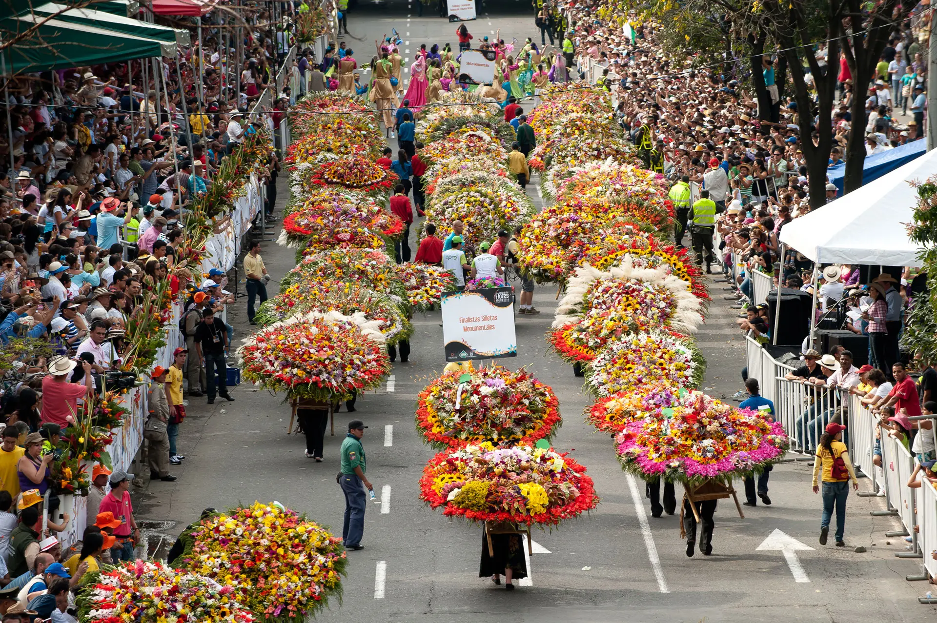 Festa dei Fiori Oggi: Una celebrazione colorata della bellezza naturale - Quando c'è la Festa dei fiori a Pesaro festa dei fiori oggi - Quando c'è la Festa dei fiori a Pesaro